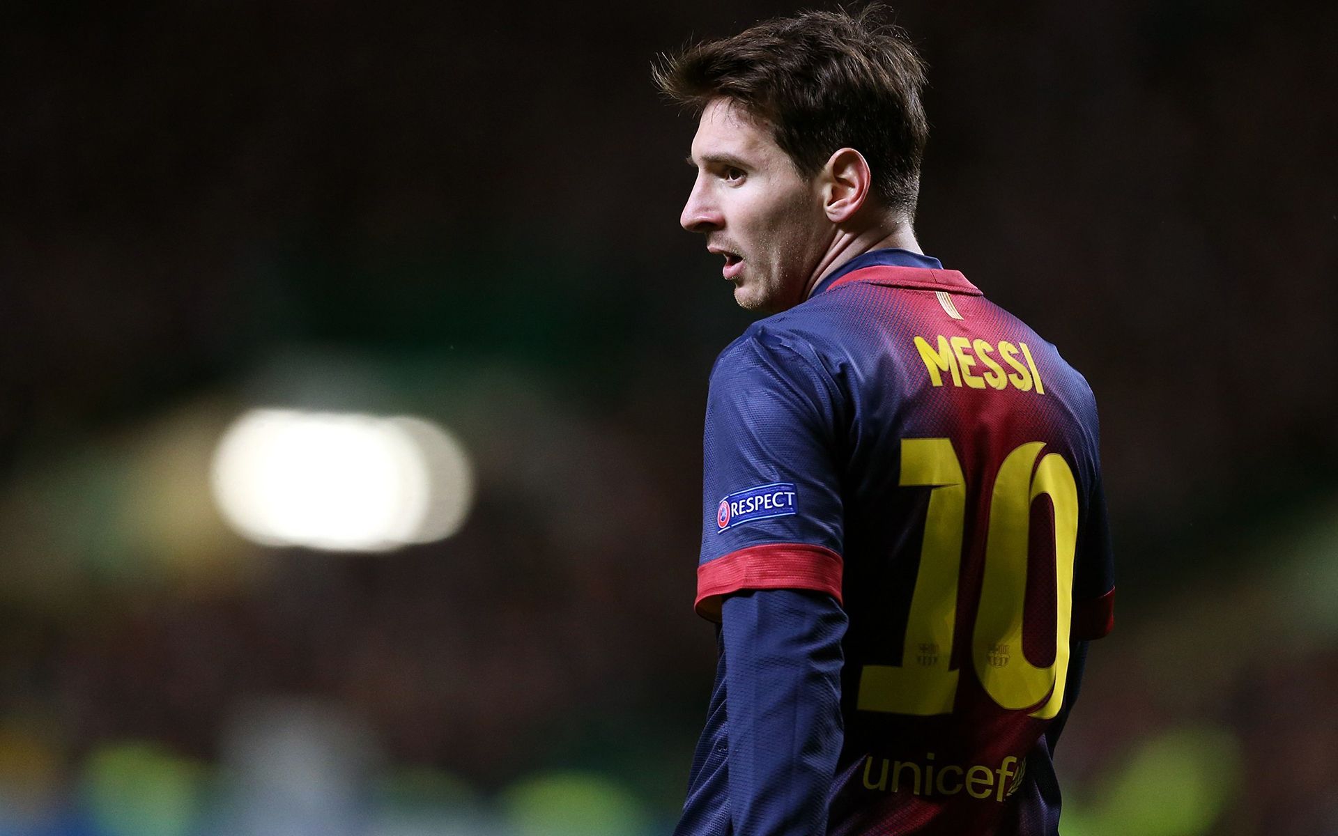 点似乎更具 点似乎更具