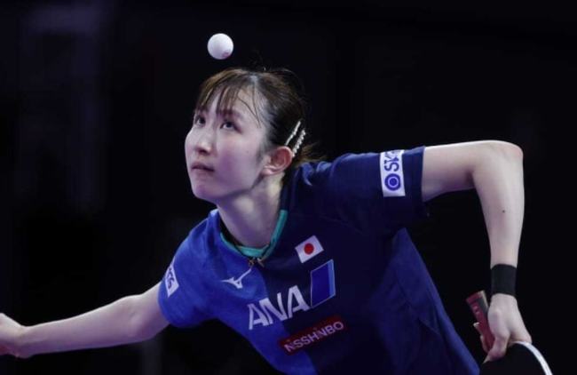 互动体验项 互动体验项